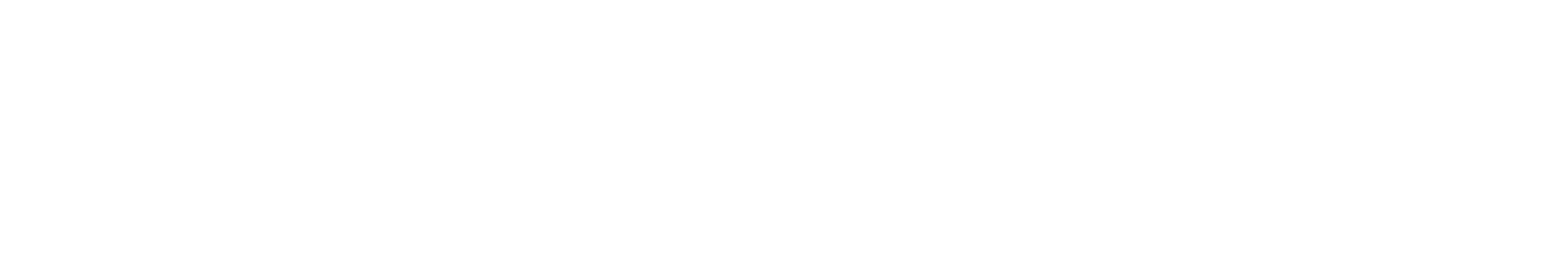 VI_Horizontal_White (1)